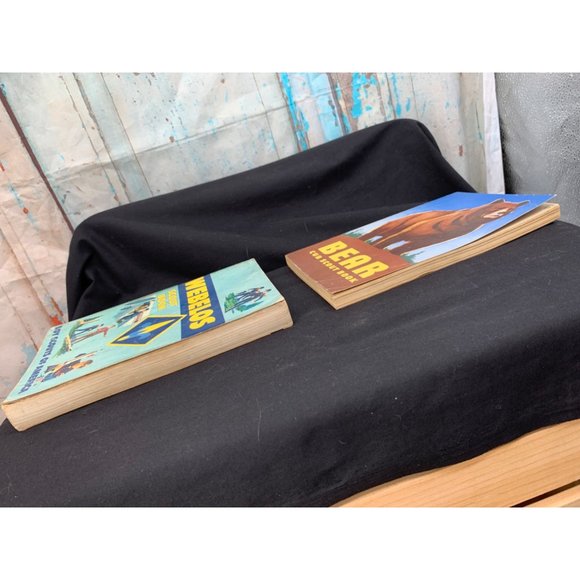 Vintage Cub Scout Bear Book / Webelos Boy Scout Book - Picture 7 of 9